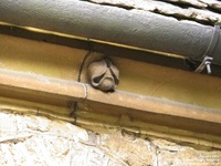 Sutton Benger - photo: 00030